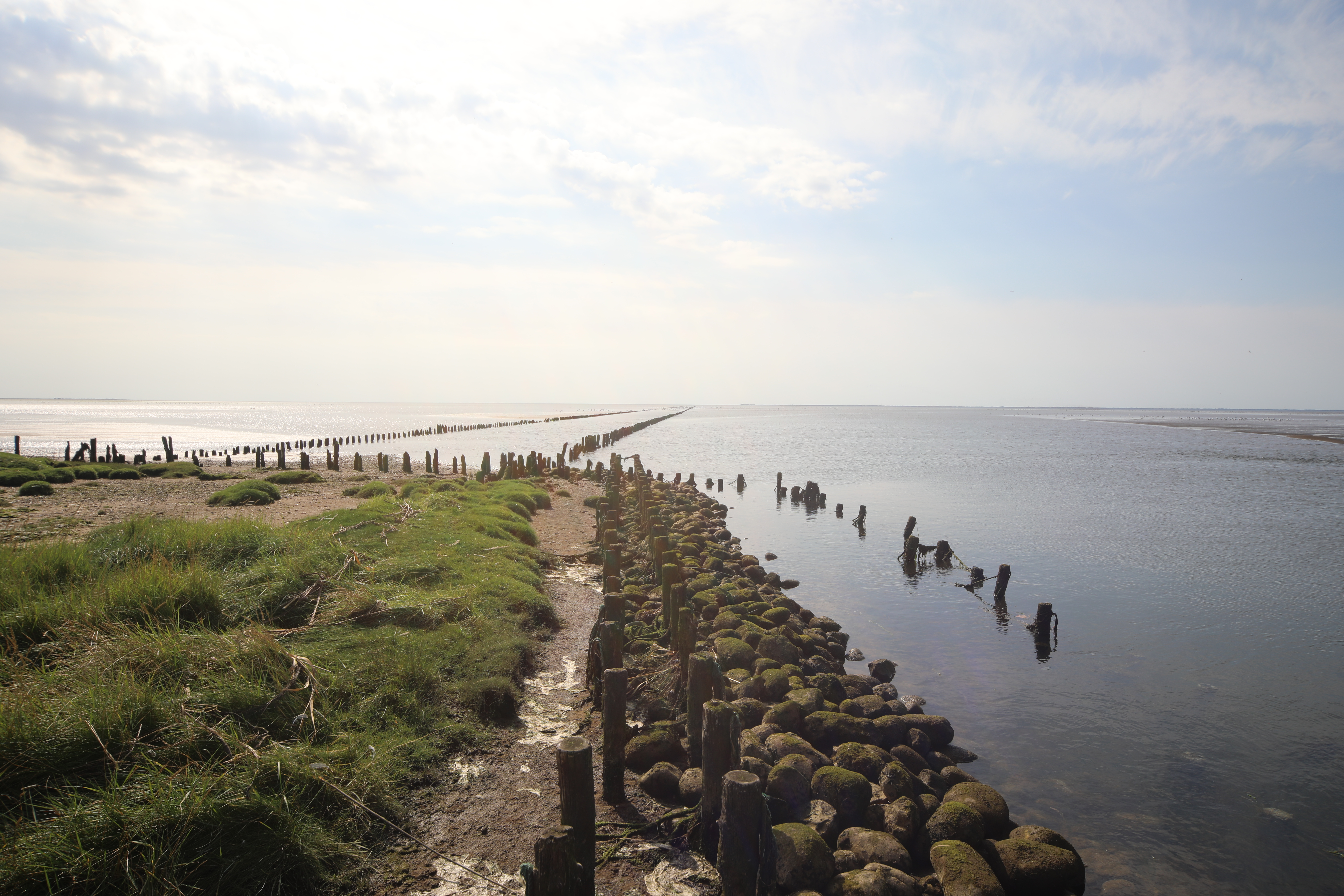 Når vi regulerer, skal det være for miljøets skyld – eller tager jeg helt fejl?