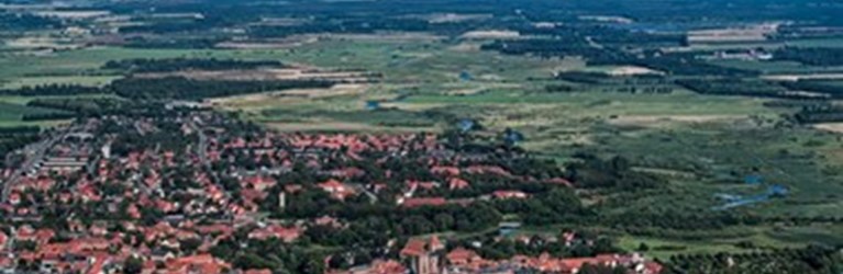 Danmarks største lavbundsprojekt på vej i Ribe: 2.700 hektar landbrugsjord kan blive våd natur